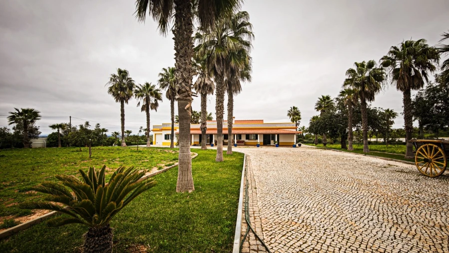 Quinta T4 para Venda em Guia Foto 2