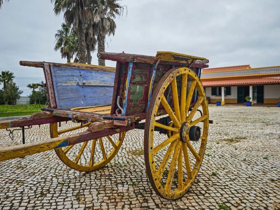 Quinta T4 para Venda em Guia Foto 78