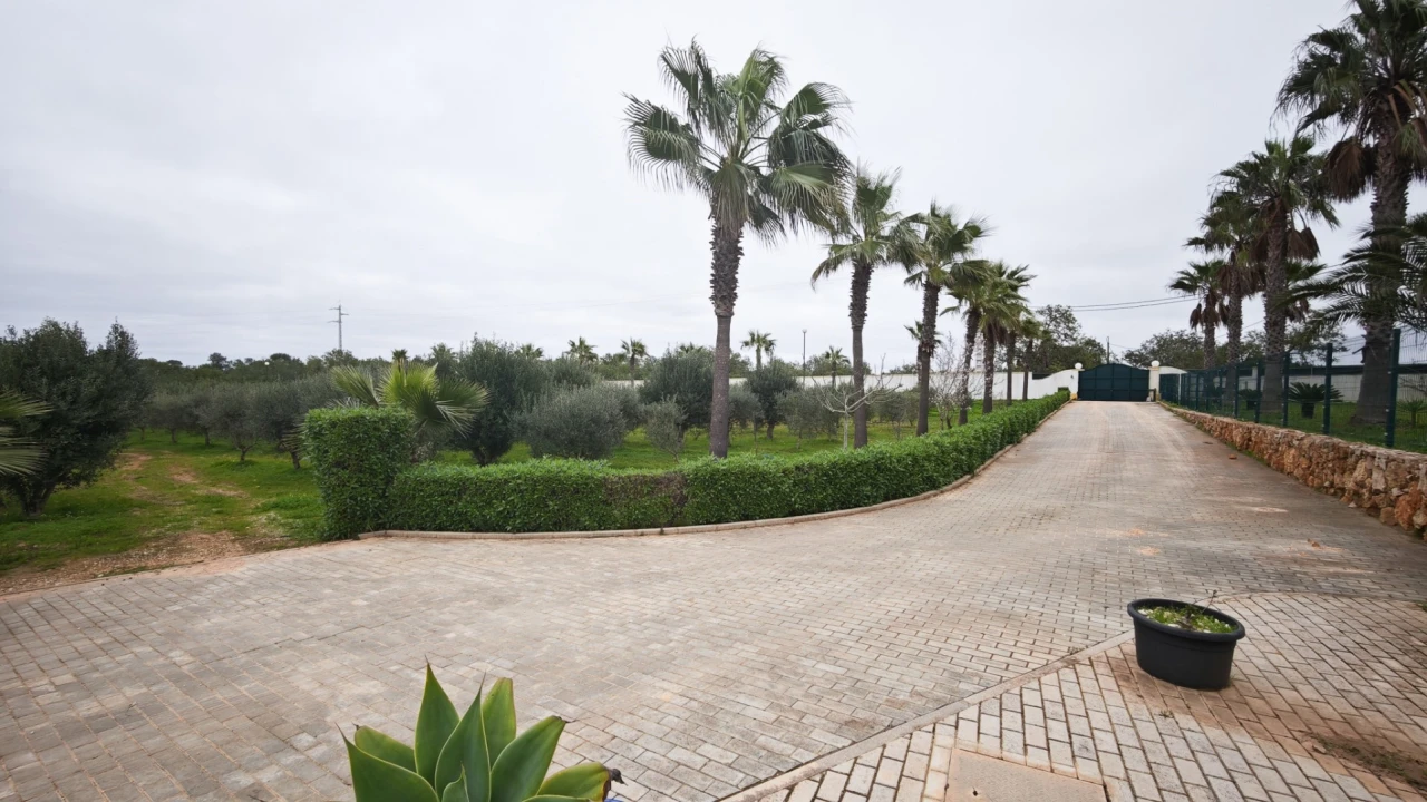 Quinta T4 para Venda em Guia Foto 73