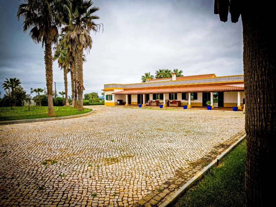 Quinta T4 para Venda em Guia Foto 79