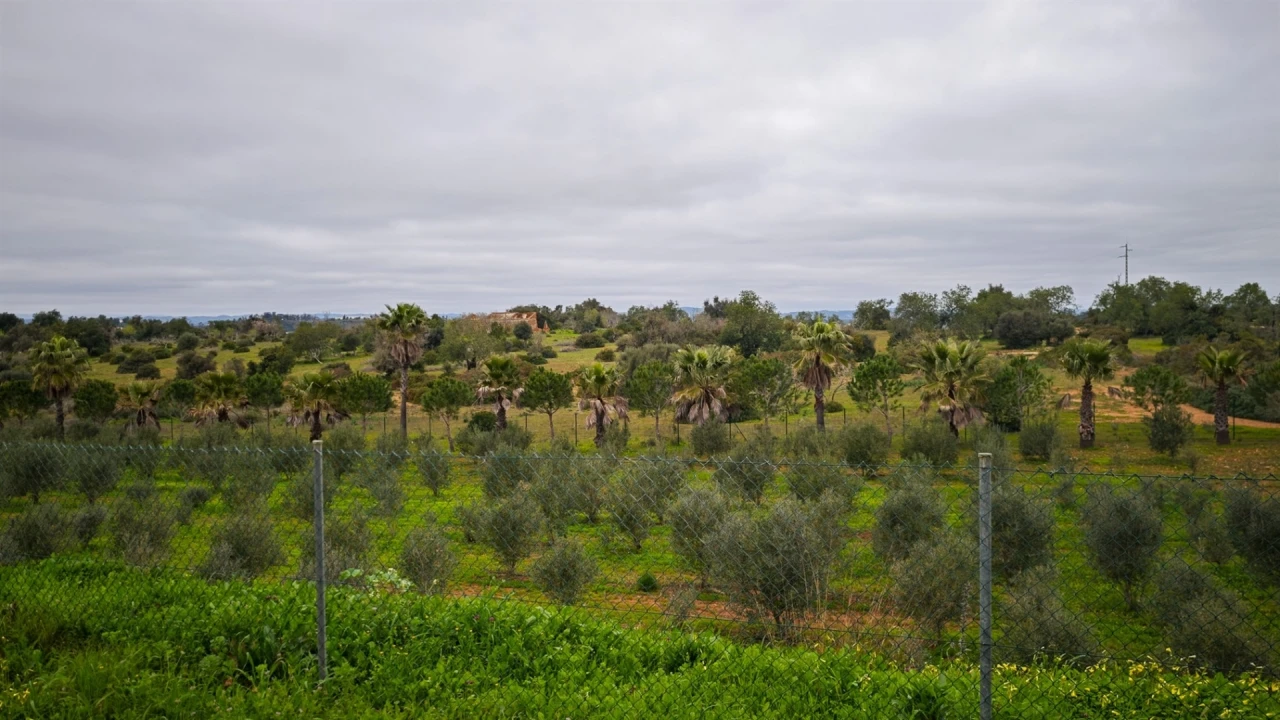 Quinta T4 para Venda em Guia Foto 65