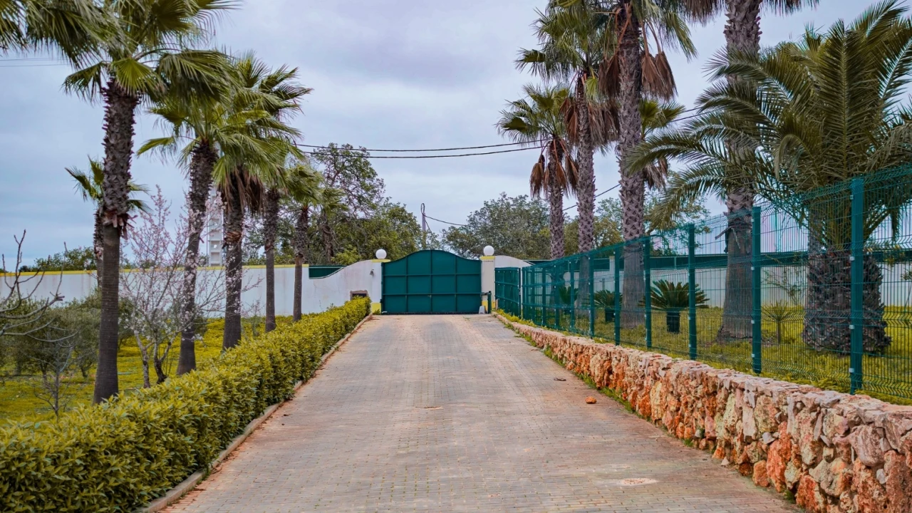 Quinta T4 para Venda em Guia Foto 72