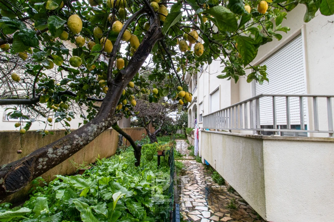 Moradia T5 para Venda em Massamá e Monte Abraão Foto 49