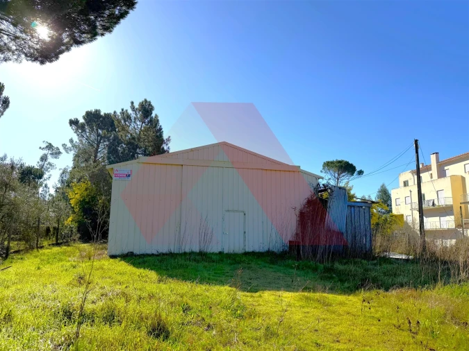 Terreno para Venda em Tabua Foto 4