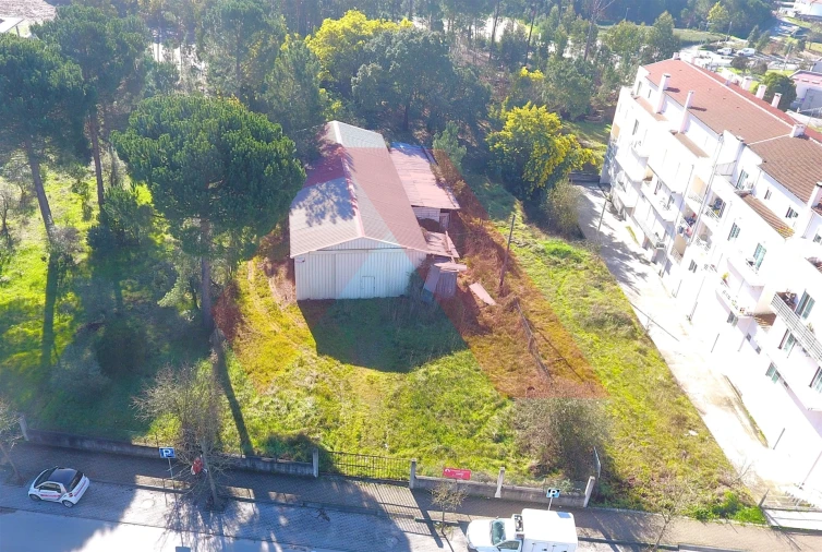 Terreno para Venda em Tabua Foto 3