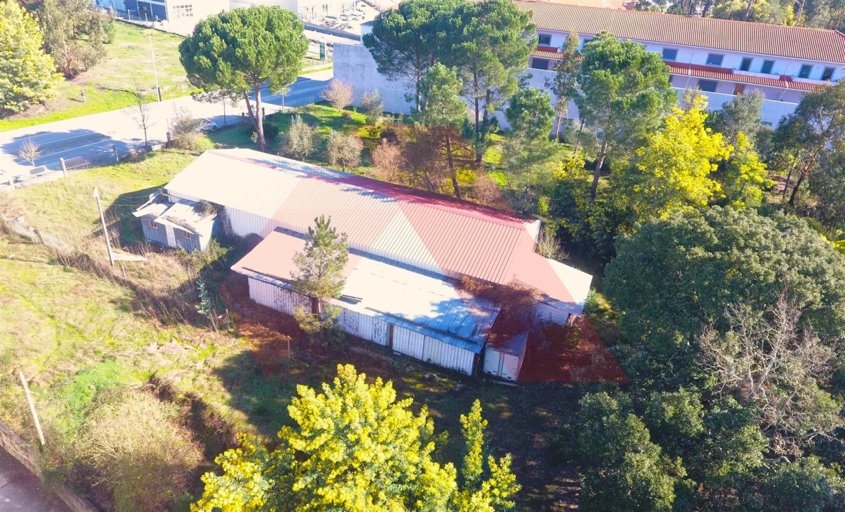 Terreno para Venda em Tabua Foto 2