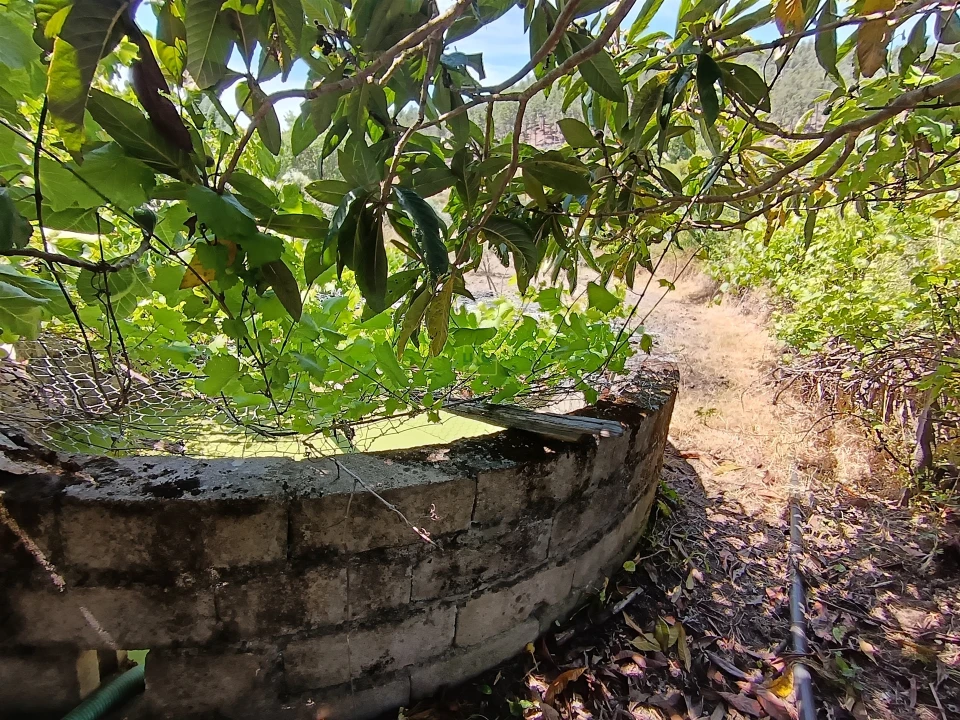 Quinta T0 para Venda em Penamacor Foto 21