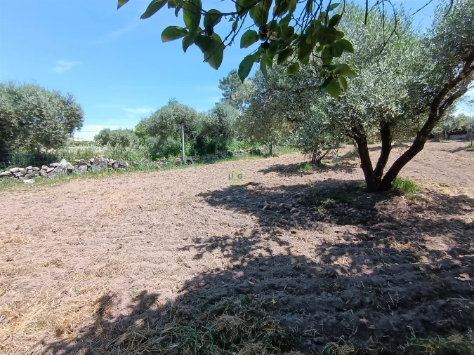 Quinta T0 para Venda em Penamacor Foto 12