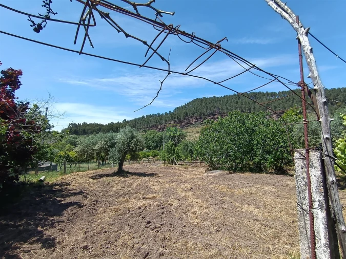 Quinta T0 para Venda em Penamacor Foto 15