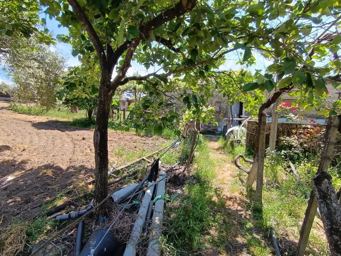 Quinta T0 para Venda em Penamacor Foto 14