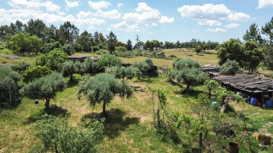 Quinta T0 para Venda em Penamacor Foto 30