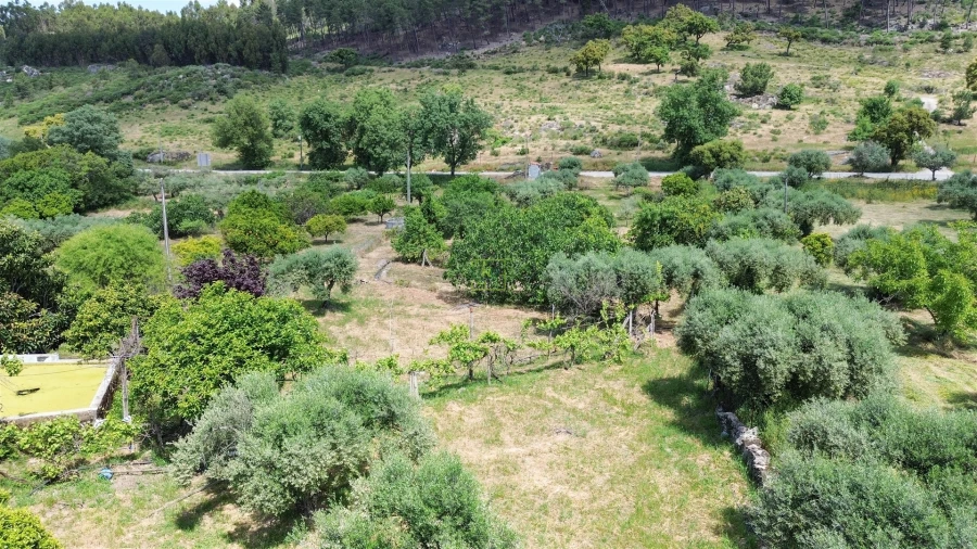Quinta T0 para Venda em Penamacor Foto 33