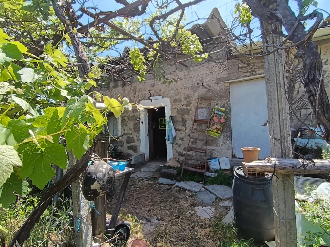 Quinta T0 para Venda em Penamacor Foto 1