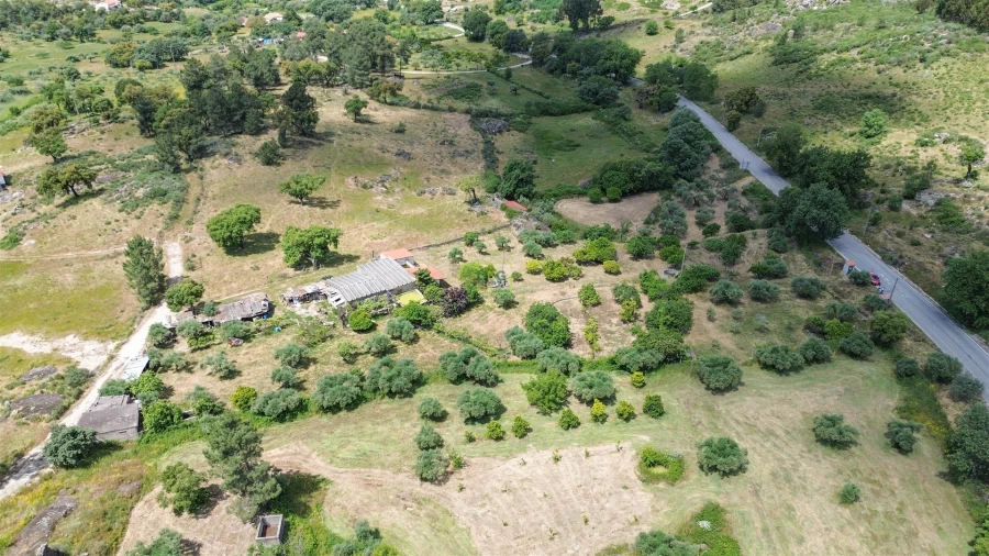 Quinta T0 para Venda em Penamacor Foto 34