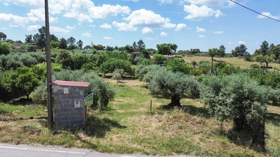 Quinta T0 para Venda em Penamacor Foto 23