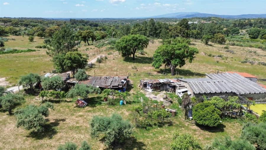 Quinta T0 para Venda em Penamacor Foto 24
