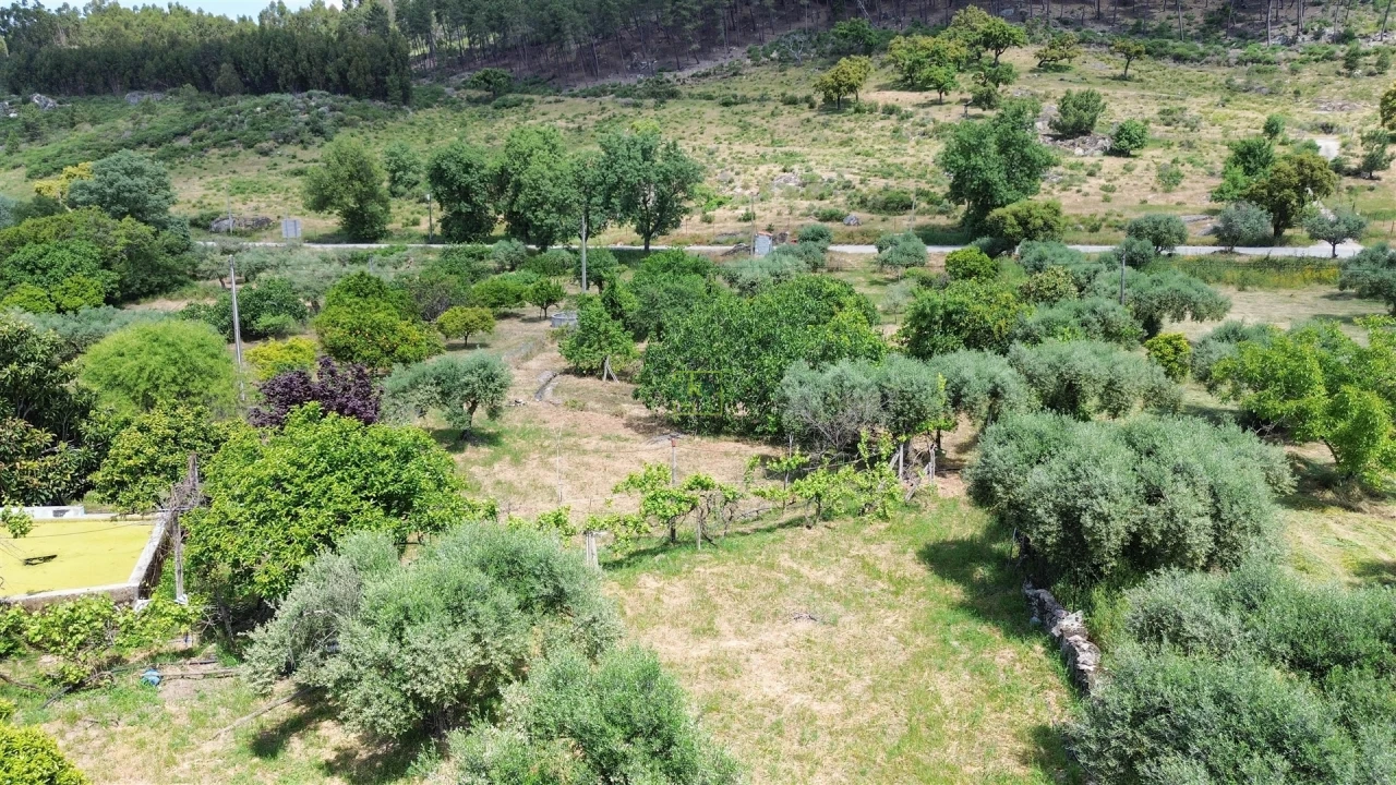 Quinta T0 para Venda em Penamacor Foto 33