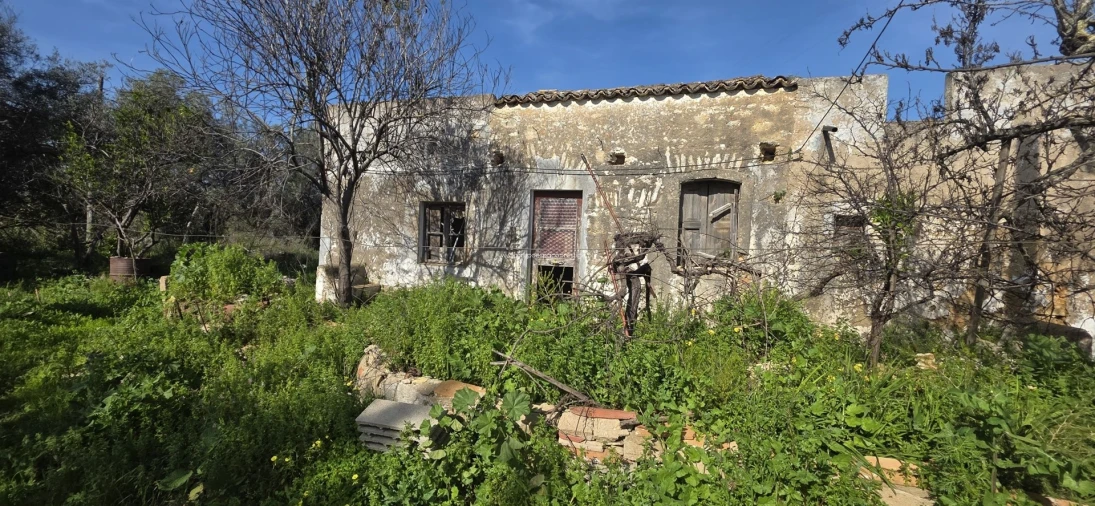 Terreno Misto para Venda em Pechão Foto 4