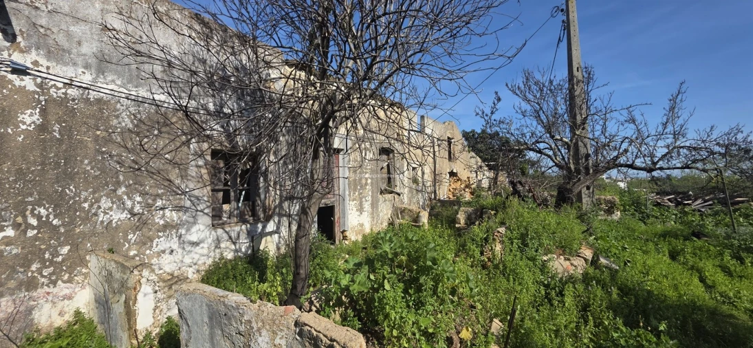 Terreno Misto para Venda em Pechão Foto 5