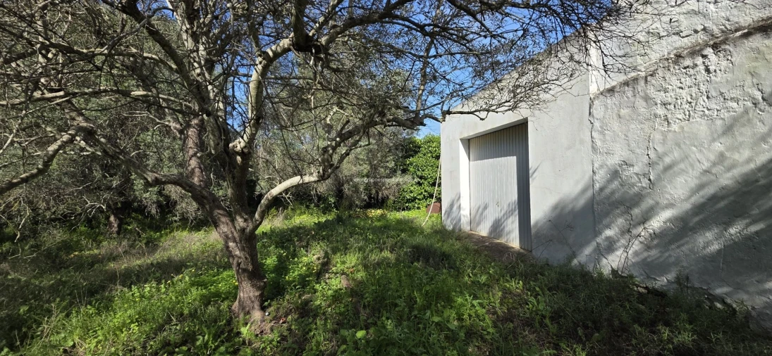 Terreno Misto para Venda em Pechão Foto 7