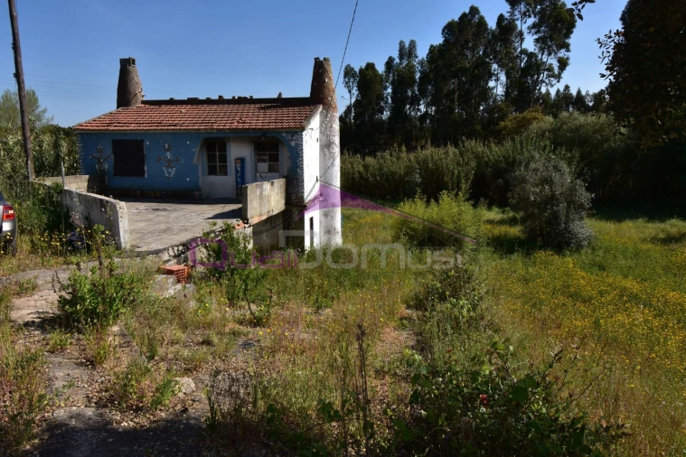 Moradia T3 para Venda em Praia do Ribatejo Foto 2