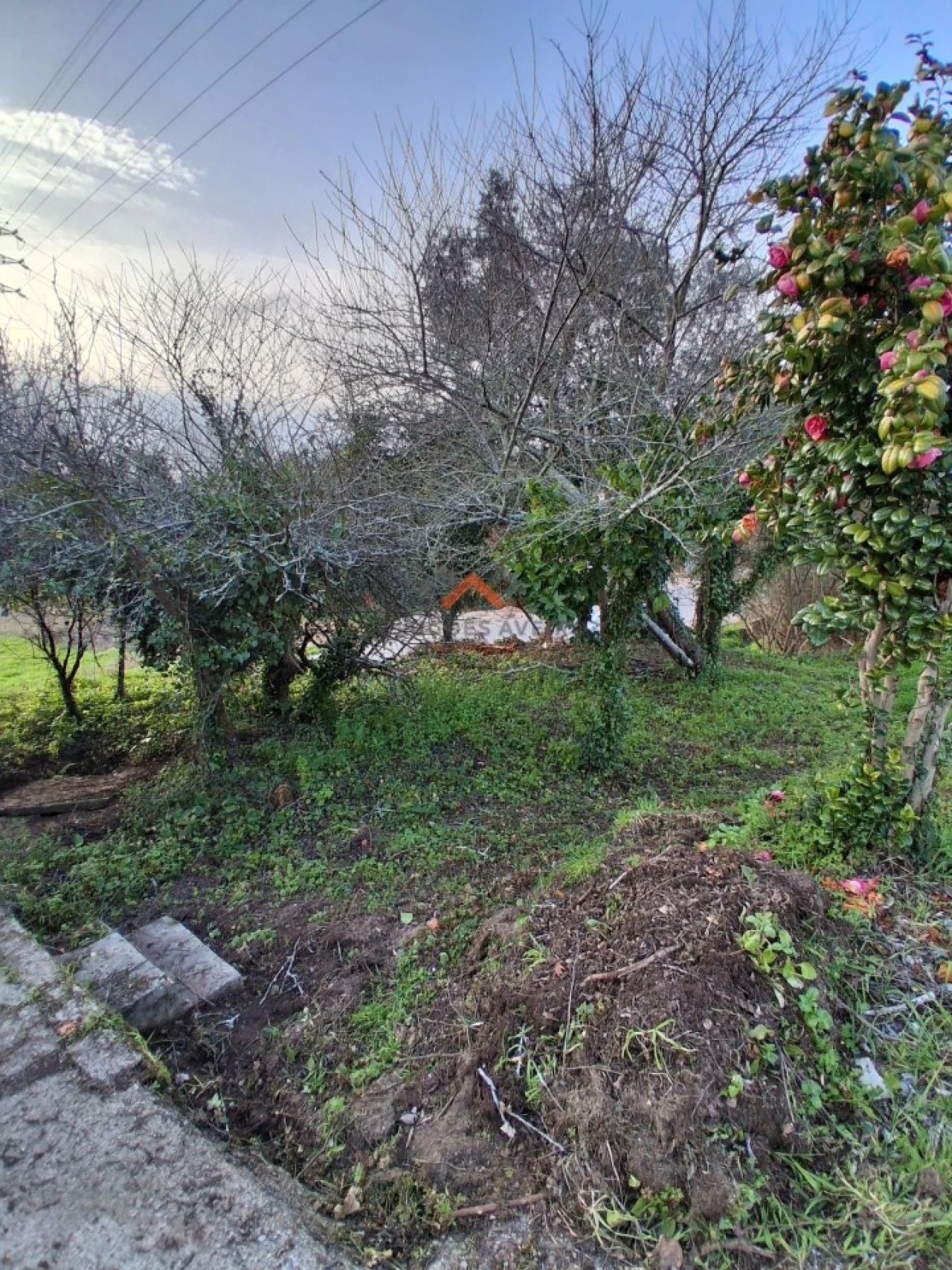 Moradia T2 para Venda em Travassô e Óis da Ribeira Foto 21