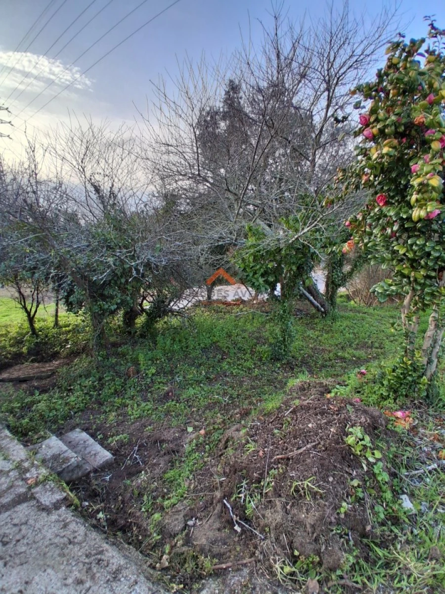 Moradia T2 para Venda em Travassô e Óis da Ribeira Foto 21