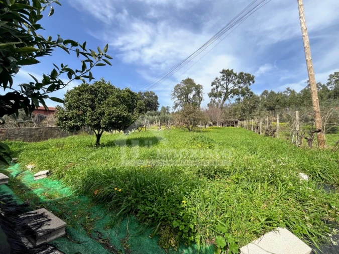 Moradia T3 para Venda em Figueiró dos Vinhos e Bairradas Foto 27
