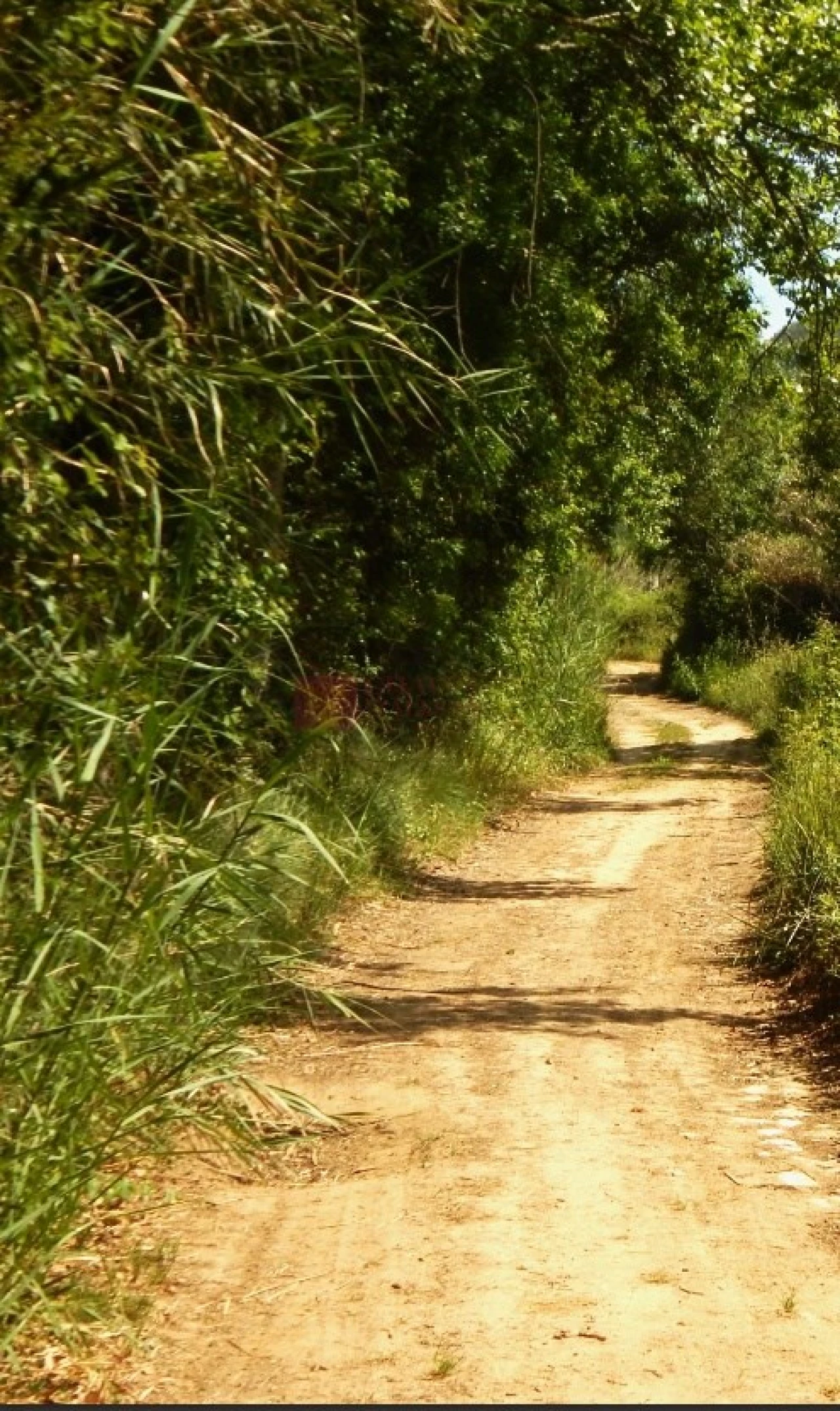Apartamento T2 para Venda em Ericeira Foto 22
