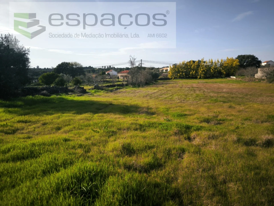 Terreno Agricola ou Rústico para Venda em Escalos de Baixo e Mata Foto 5