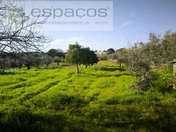 Terreno Agricola ou Rústico para Venda em Escalos de Baixo e Mata Foto 4