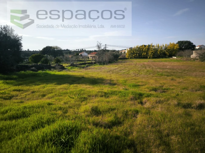 Terreno Agricola ou Rústico para Venda em Escalos de Baixo e Mata Foto 5