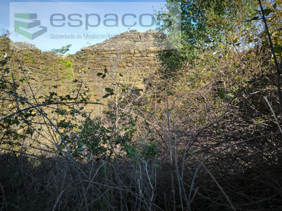 Terreno Agricola ou Rústico para Venda em Sarzedas Foto 4