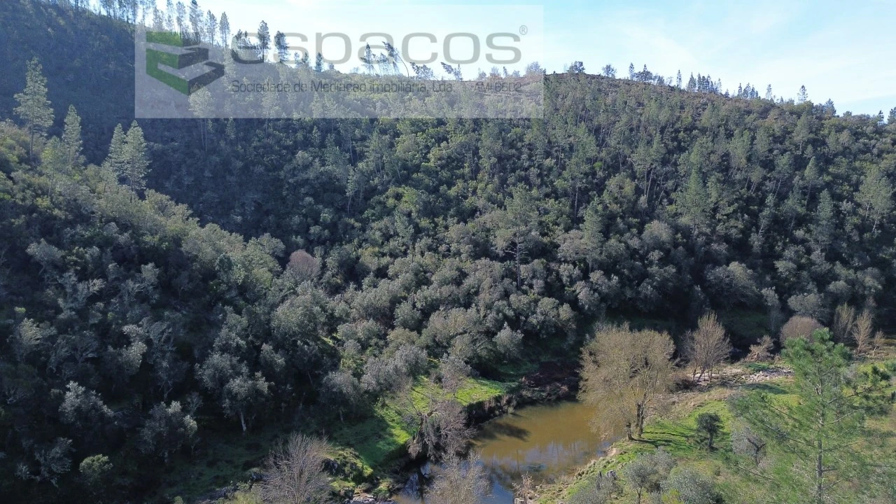 Terreno Agricola ou Rústico para Venda em Sarzedas Foto 5