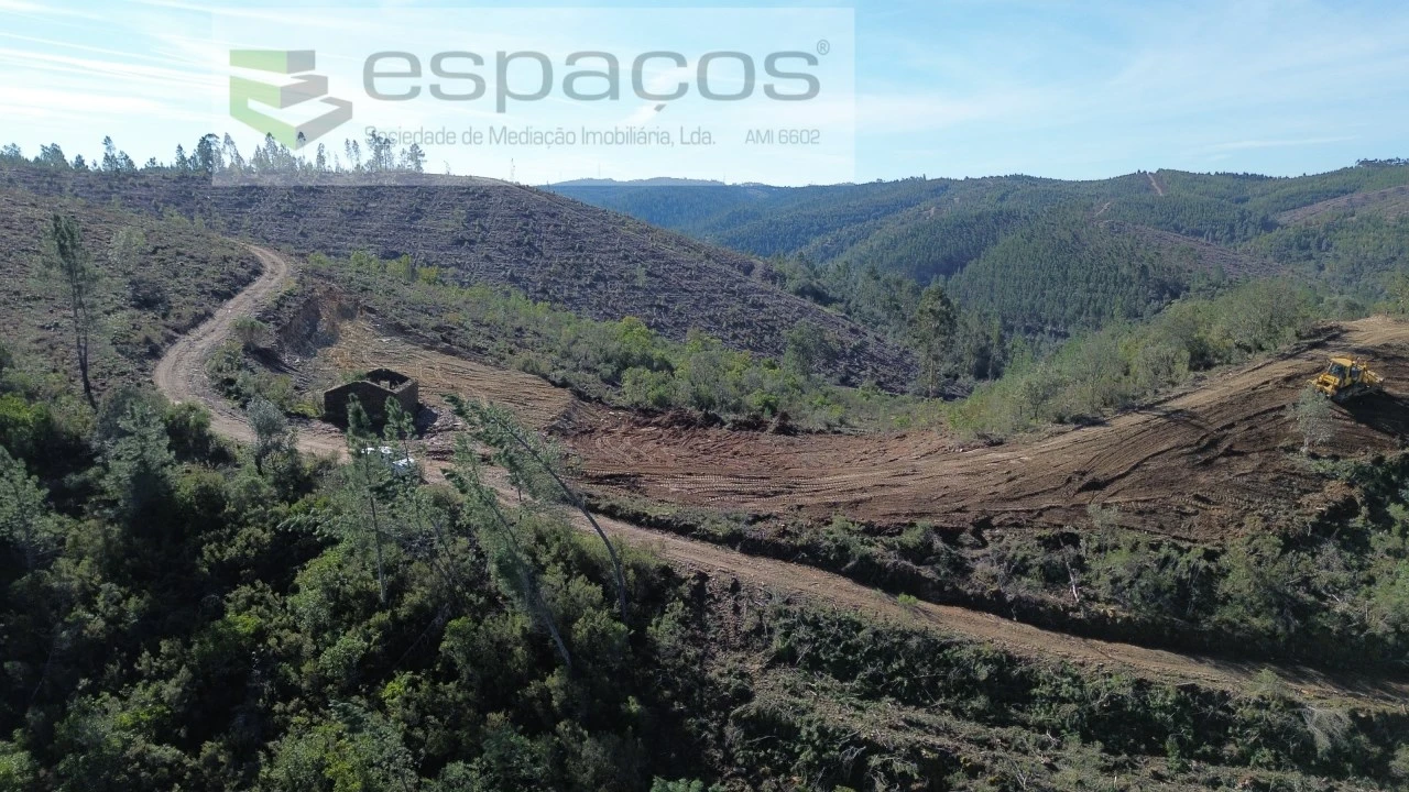 Terreno Agricola ou Rústico para Venda em Sarzedas Foto 6