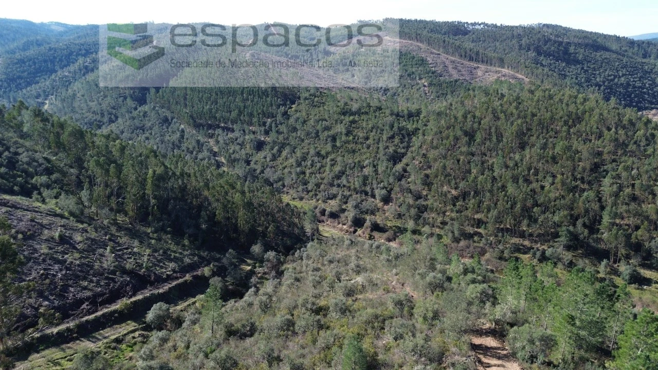 Terreno Agricola ou Rústico para Venda em Sarzedas Foto 7
