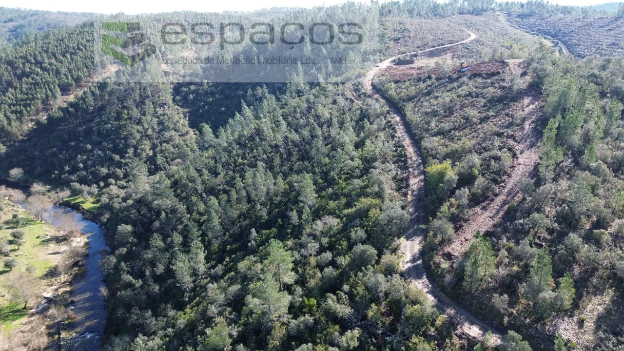 Terreno Agricola ou Rústico para Venda em Sarzedas Foto 10
