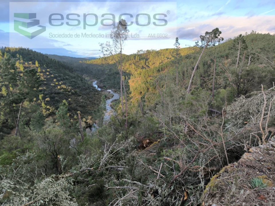 Terreno Agricola ou Rústico para Venda em Sarzedas Foto 11