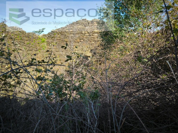 Terreno Agricola ou Rústico para Venda em Sarzedas Foto 4