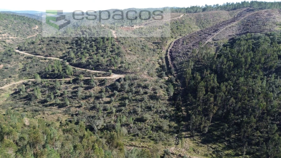 Terreno Agricola ou Rústico para Venda em Sarzedas Foto 8