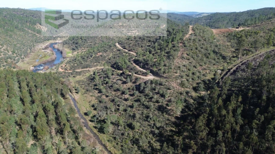 Terreno Agricola ou Rústico para Venda em Sarzedas Foto 9