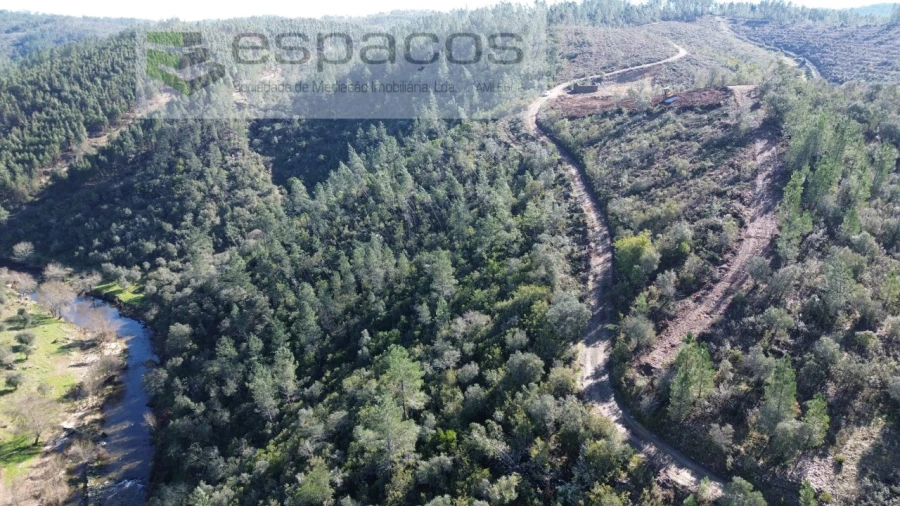 Terreno Agricola ou Rústico para Venda em Sarzedas Foto 10