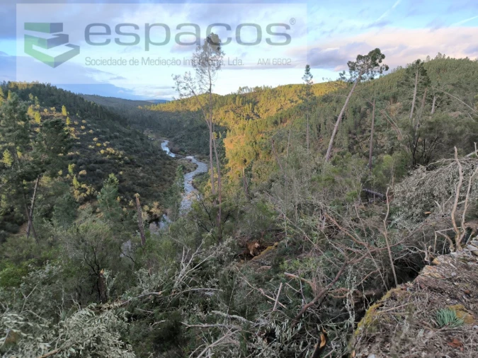 Terreno Agricola ou Rústico para Venda em Sarzedas Foto 11