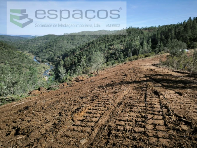 Terreno Agricola ou Rústico para Venda em Sarzedas Foto 14