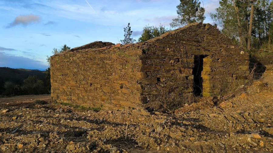 Terreno Agricola ou Rústico para Venda em Sarzedas