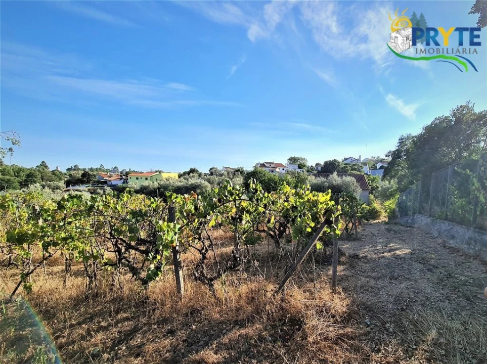 Quinta para Venda em Cabeçudo Foto 8