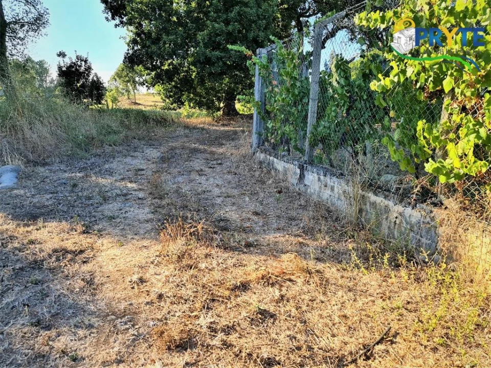 Quinta para Venda em Cabeçudo Foto 12