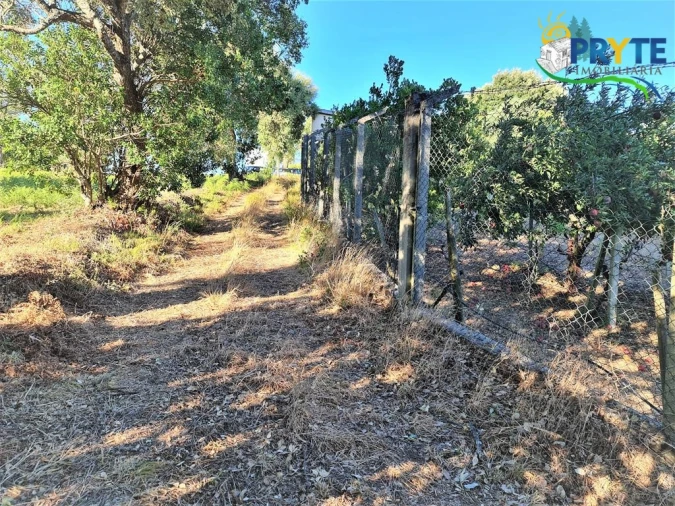Quinta para Venda em Cabeçudo Foto 1