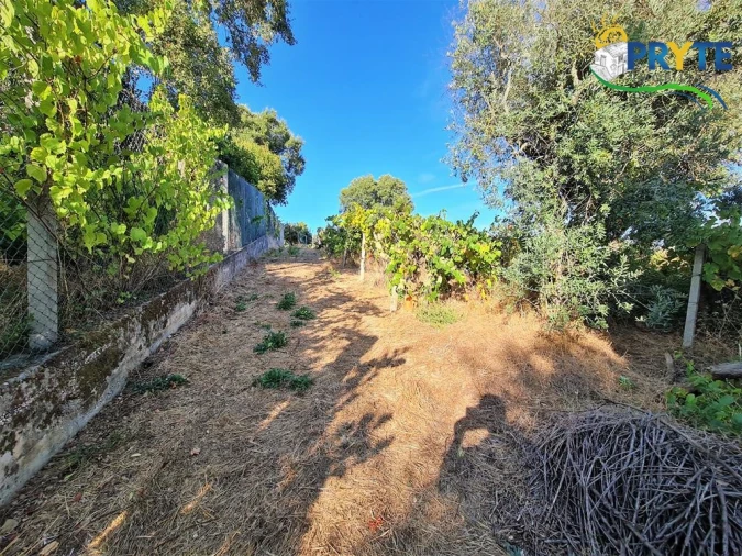 Quinta para Venda em Cabeçudo Foto 11