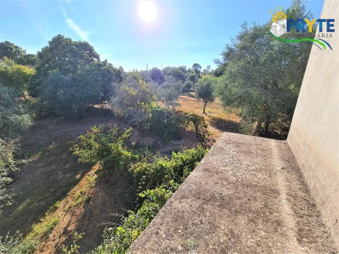 Quinta para Venda em Cabeçudo Foto 14